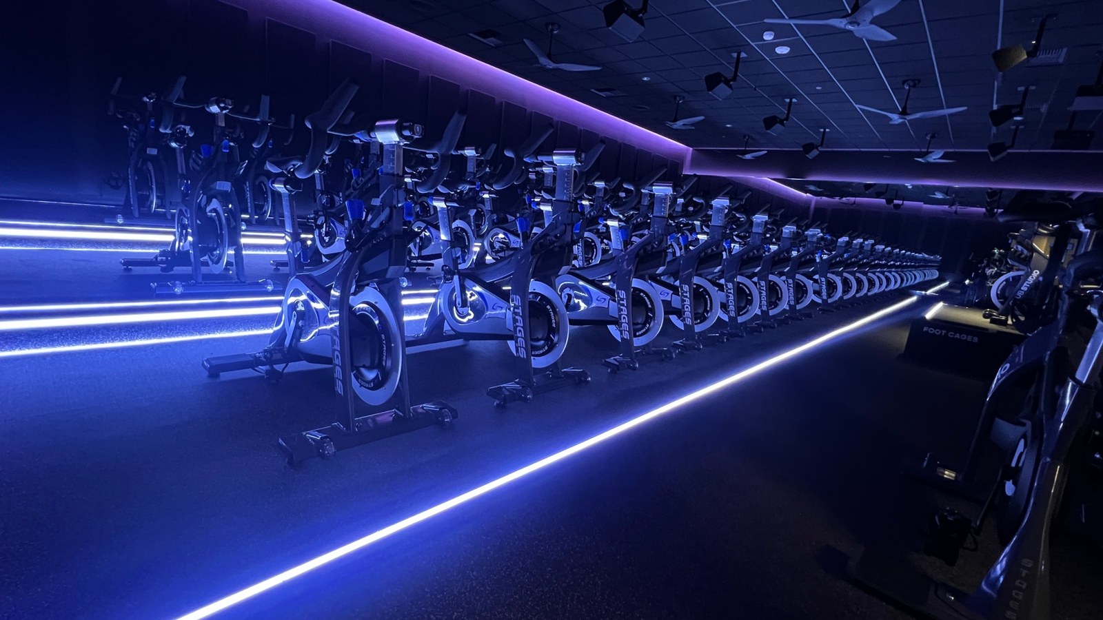 Club Studio cycling row with bikes lit by blue and purple LED lighting